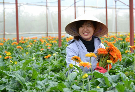 Phụ nữ đi xuất khẩu lao động Nhật Bản – Ngành nào là phù hợp?